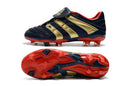 Adidas PREDATOR ACCELERATOR FG Cleats